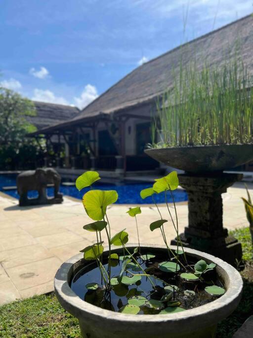 Bali Berg Villa, Sanur Esterno foto